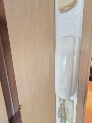 【セキュリティ】 | グリーン・エクセル