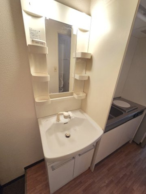 【独立洗面台】 | グリーン・エクセル