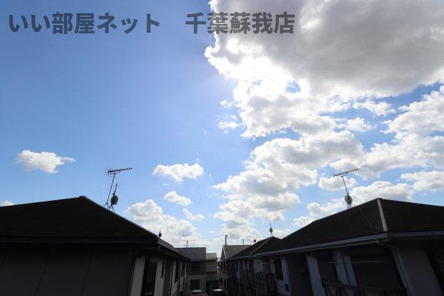 シンシアの展望