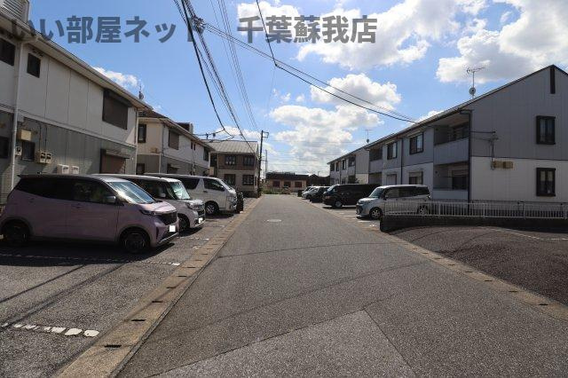 シンシアの周辺