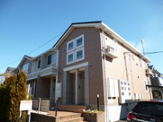 レイン　ツリーの画像