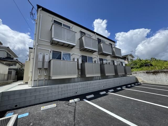 アークパイン黒松