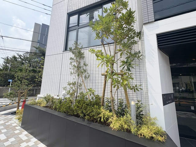 RELUXIA北赤羽のその他|植栽です☆