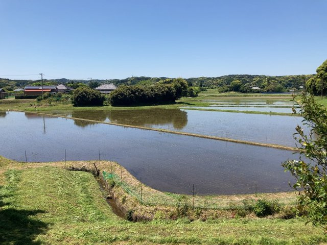 御宿町上布施　中古戸建の展望|目の前に広がる田園風景