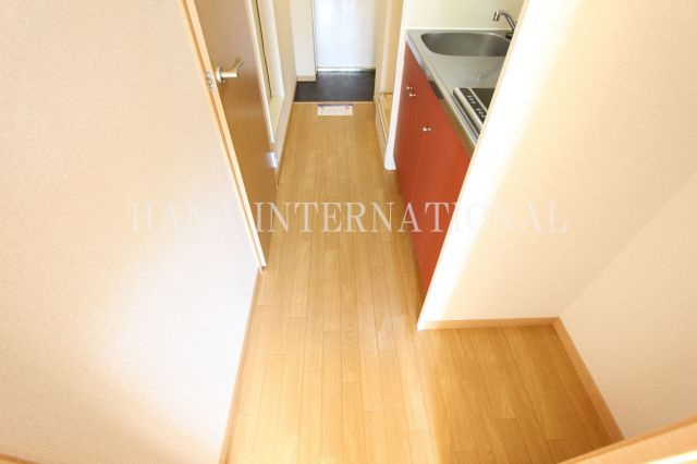 ＷＡＫＡＮＡのその他