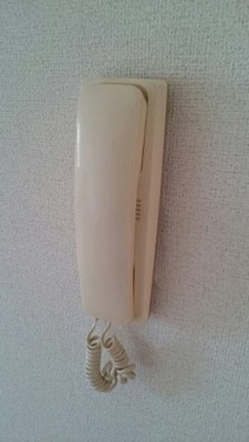 【セキュリティ】 | ふぉーらむしろかねⅡ