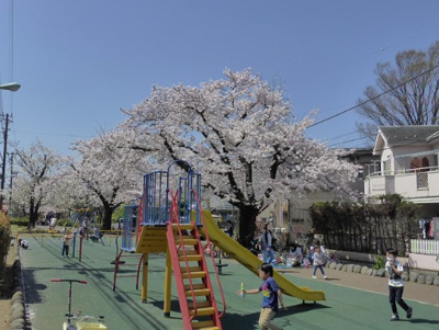 【周辺】 | ブラウニ世田谷