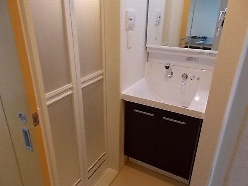 コレクト　ライルの洗面所