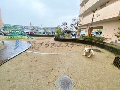 【その他】 | エメラルドマンション東加古川 | 〇人気の角部屋物件です♪
●ペット飼育♪（規約による制限有）
〇南向きにつき採光良好のあたたかいお部屋です♪
●両面バルコニーにつき通風良好です♪
〇全居室収納♪