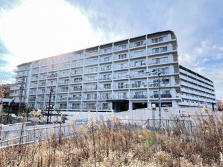 【外観】 | ハイネス上板橋 | 外観　当日のご見学、可能です！お気軽にお問い合わせください！※0120-133-468