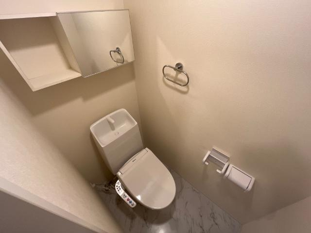 ディモーラ山崎のトイレ|シャワー付トイレ