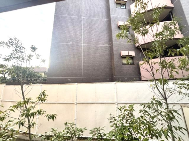 ＲＡ－ＡＳＨＩＹＡの展望