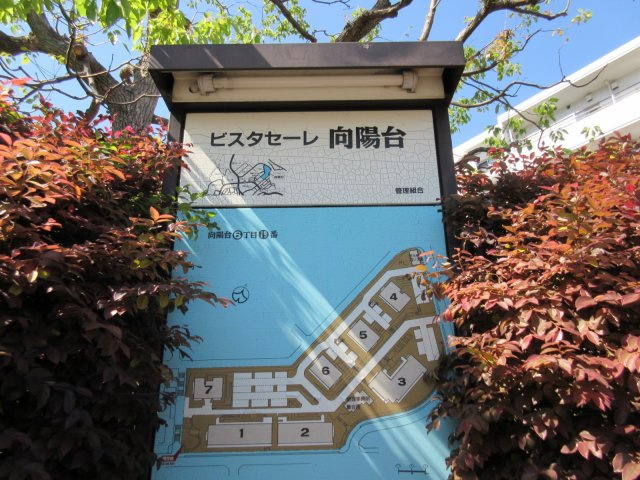 の-の画像