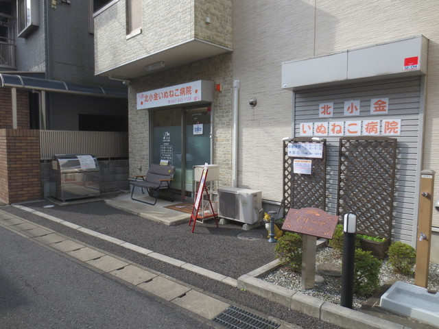 Ｃｈａｍｂｒｅｕｉｌ　シャンブレイユのその他|北小金いぬねこ病院