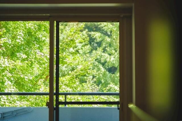 東急ドエル・アルス音羽Ⅱの展望