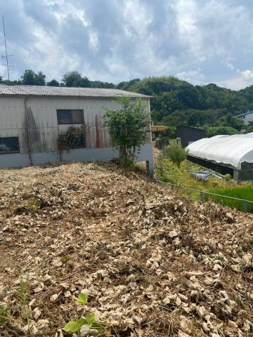 九度山町九度山　土地