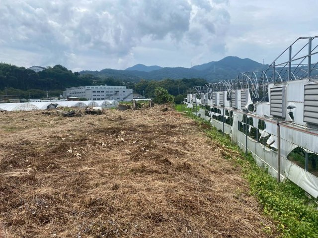 九度山町九度山　土地
