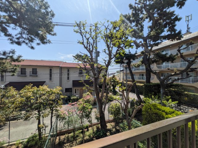 メゾン住吉川の展望
