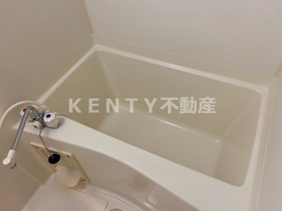 【浴室】 | レジディア蒲田Ⅱ | 落ち着いた空間のお風呂です