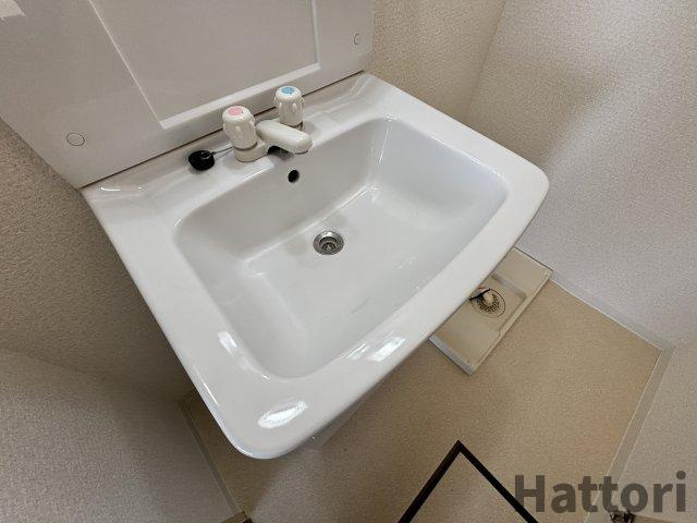 ローズコーポ新大阪第6の洗面所