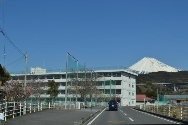 富士市江尾の売地|富士市立須津中学校まで1,882m 