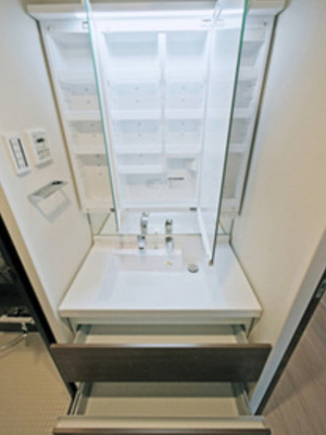 【独立洗面台】 | ルカナル門前仲町