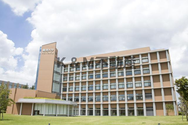 （ＳＯＨＯ可・ＰＥＴ可）ルレーブ南柏の外観パース|外観パースです