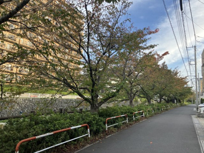 【その他】 | 川口市青木二丁目　中古住宅