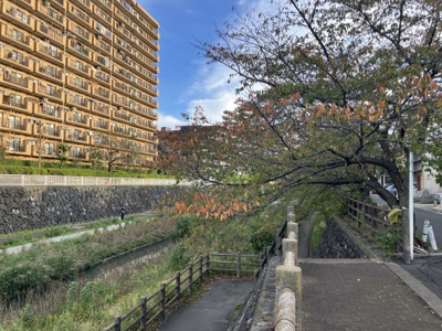 【その他】 | 川口市青木二丁目　中古住宅
