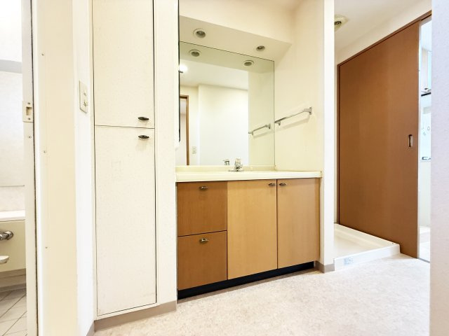 六泉寺ガーデンヒルズの独立洗面台