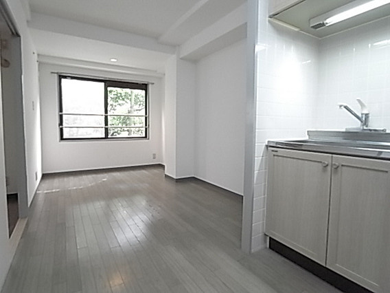 プリメーラリヨン2の居間・リビング