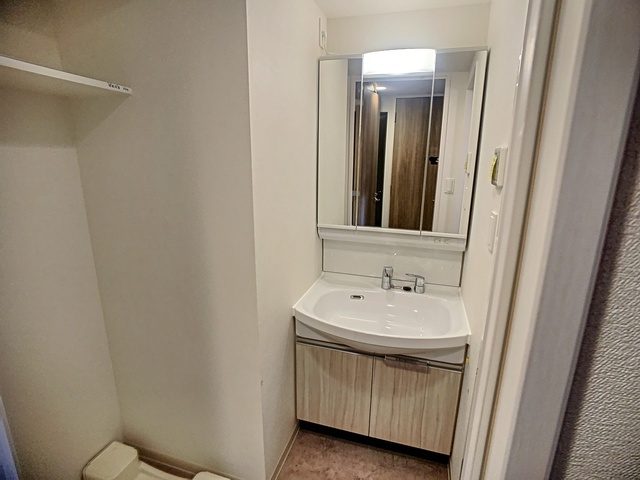 エスライズ神戸三宮山手通1番館の洗面所