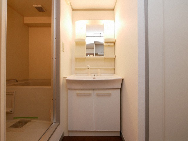 大阪市中央区材木町の賃貸マンションの洗面所