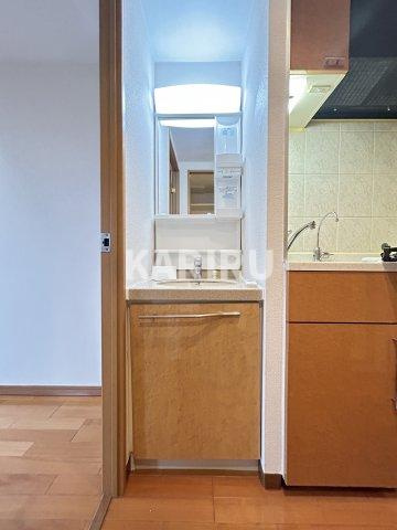 エステムコート大阪城前OBPリバーフロントの洗面所|同物件別部屋の写真です