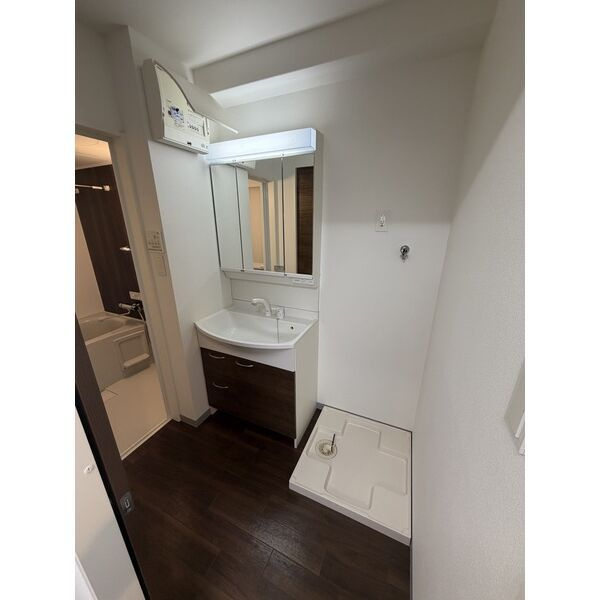 ヒルクレストELGRAND大江の洗面所