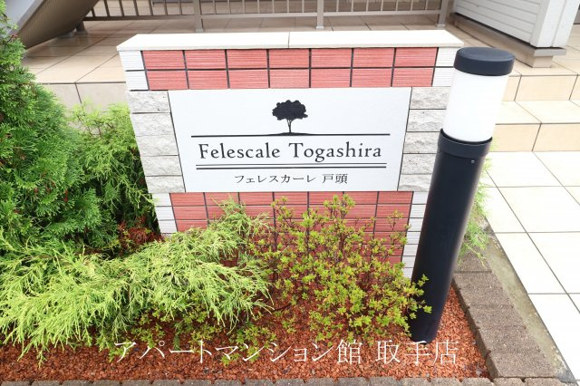 フェレスカーレ　戸頭の外観