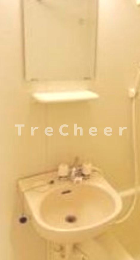 LINX　NARIMASUの洗面所