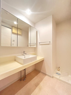 【洗面所】 | シャンブル向丘 | 洗面台