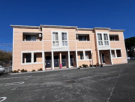 シャンテールの画像