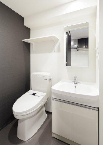 レアライズ錦糸町の洗面所