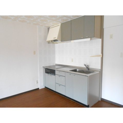 岐阜市鷺山東１丁目のアパートのキッチン|システムキッチン