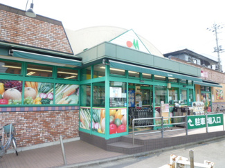 マルエツひばりが丘店まで800ｍ