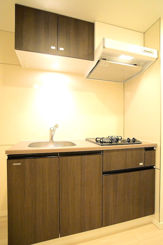 ステージグランデ上野のキッチン|※カラータイプ異なります