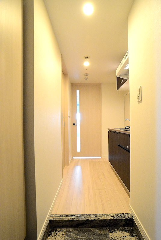 ステージグランデ上野の玄関|※カラータイプ異なります