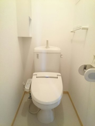 グランツイリーデＡのトイレ