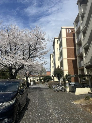 【外観】 | みずほ台団地１０－１棟 | 物件の外観です