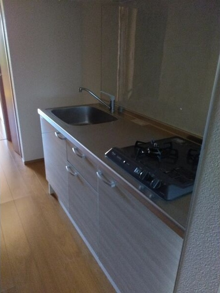 Balmy House南のキッチン