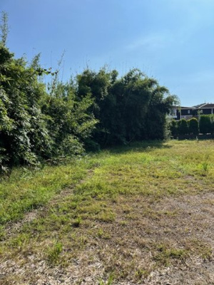 【外観】 | 佐土原町下田島　土地