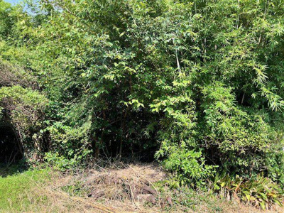 【外観】 | 佐土原町下田島　土地