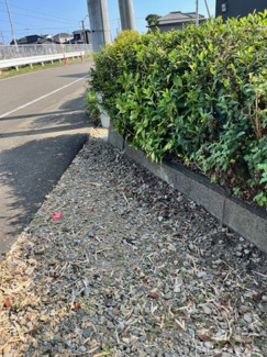 【外観】 | 佐土原町下田島　土地